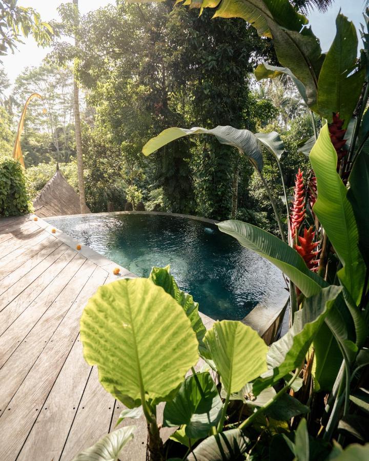 Basundari Retreat Ubud Hotel Buitenkant foto