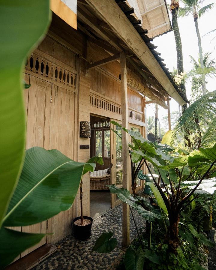 Basundari Retreat Ubud Hotel Buitenkant foto