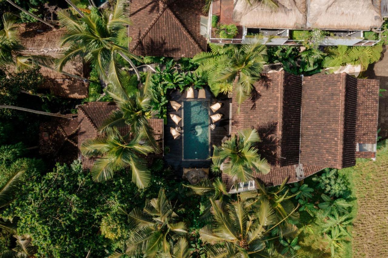 Basundari Retreat Ubud Hotel Buitenkant foto